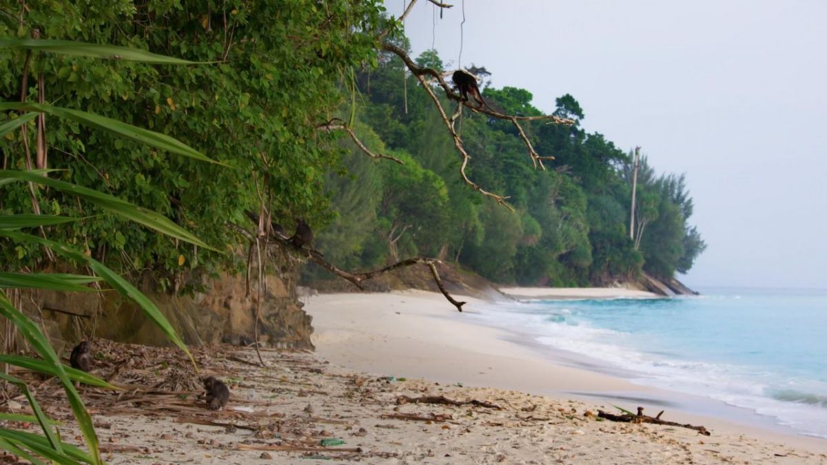 Die Nikobaren - Auferstehung eines Archipels bei Arte (Foto)
