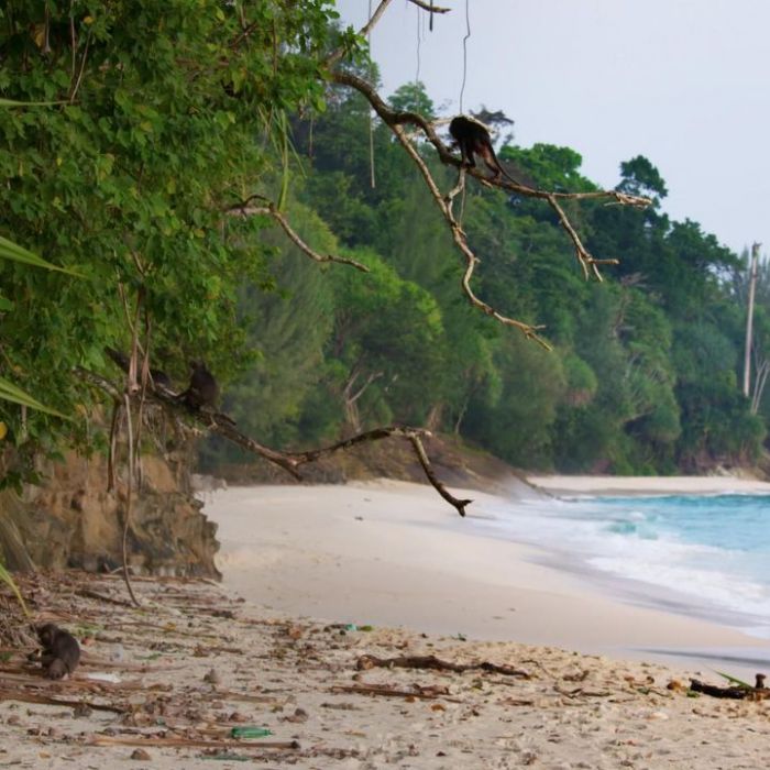 Wann und wo man die Wiederholung sehen kann