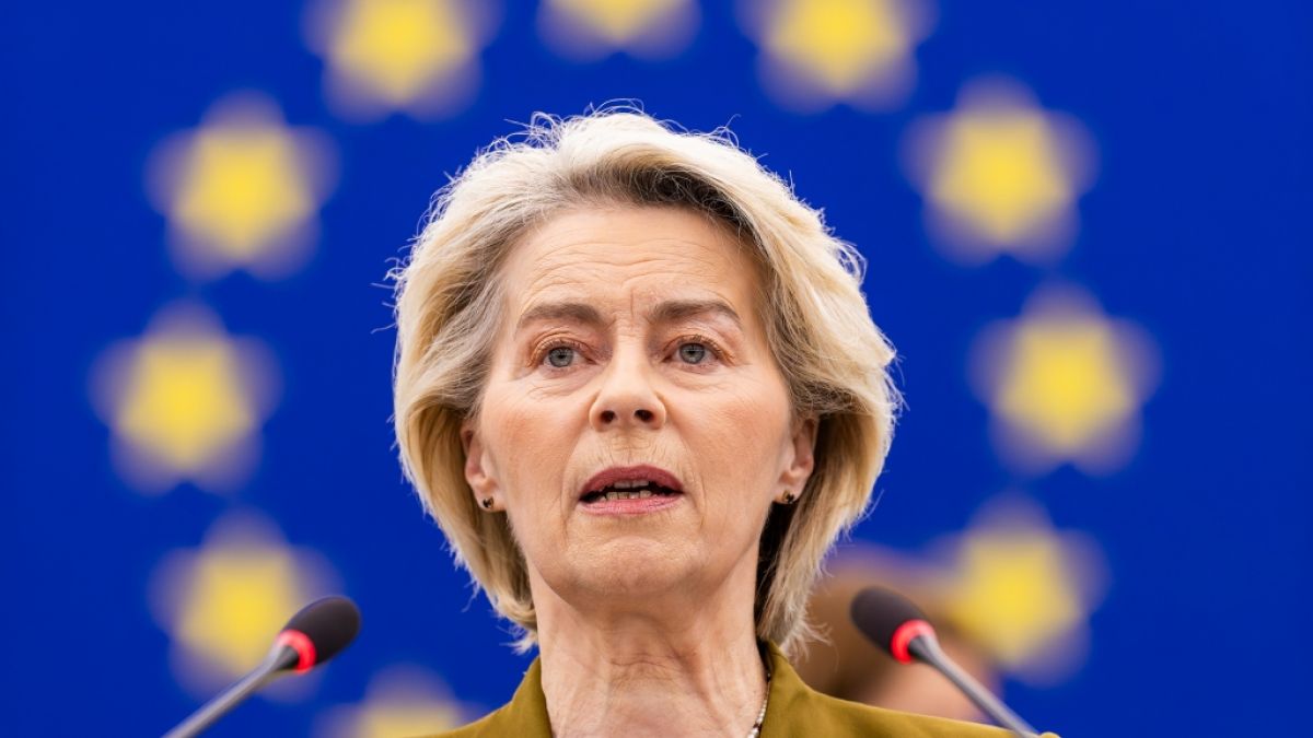 Die EU-Kommission hat das Aus vom Verbrenner-Aus beschlossen. (Foto)