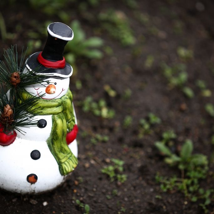 Der Dezember zeigt sich derzeit ungewöhnlich mild. Die Chance auf weiße Weihnachten schwindet.