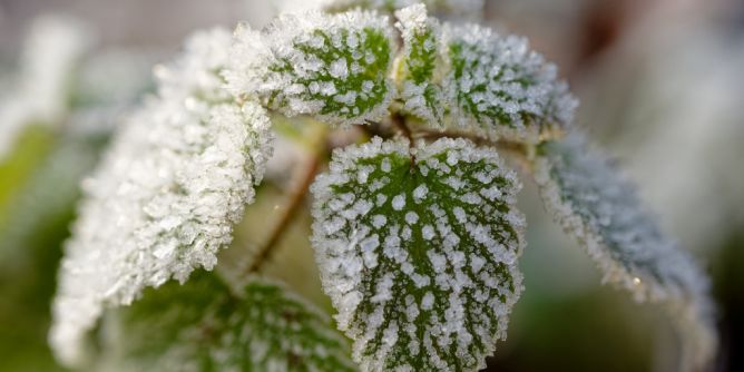 Wetterwarnung Ilm-Kreis bis morgen
