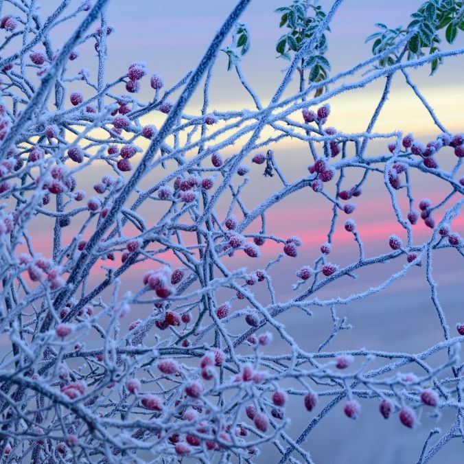 Warnung vor Frost in mehreren Gemeinden