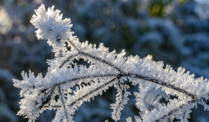 Der DWD hat eine Warnung vor Frost herausgegeben (Symbolbild).