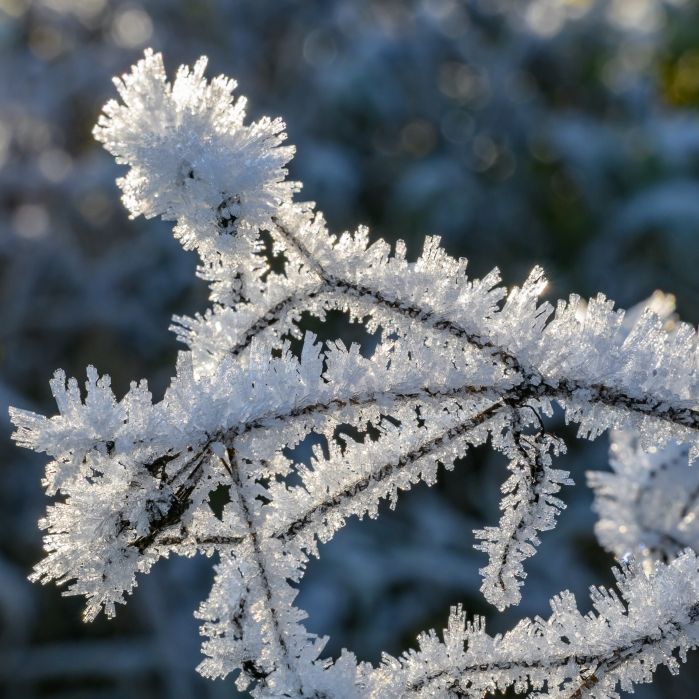 So frostig wird es am 16.12.2025