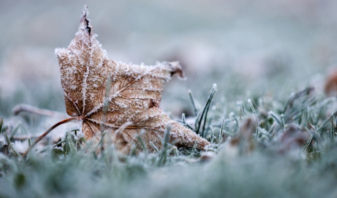 Der DWD hat eine Warnung vor Frost herausgegeben (Symbolbild).