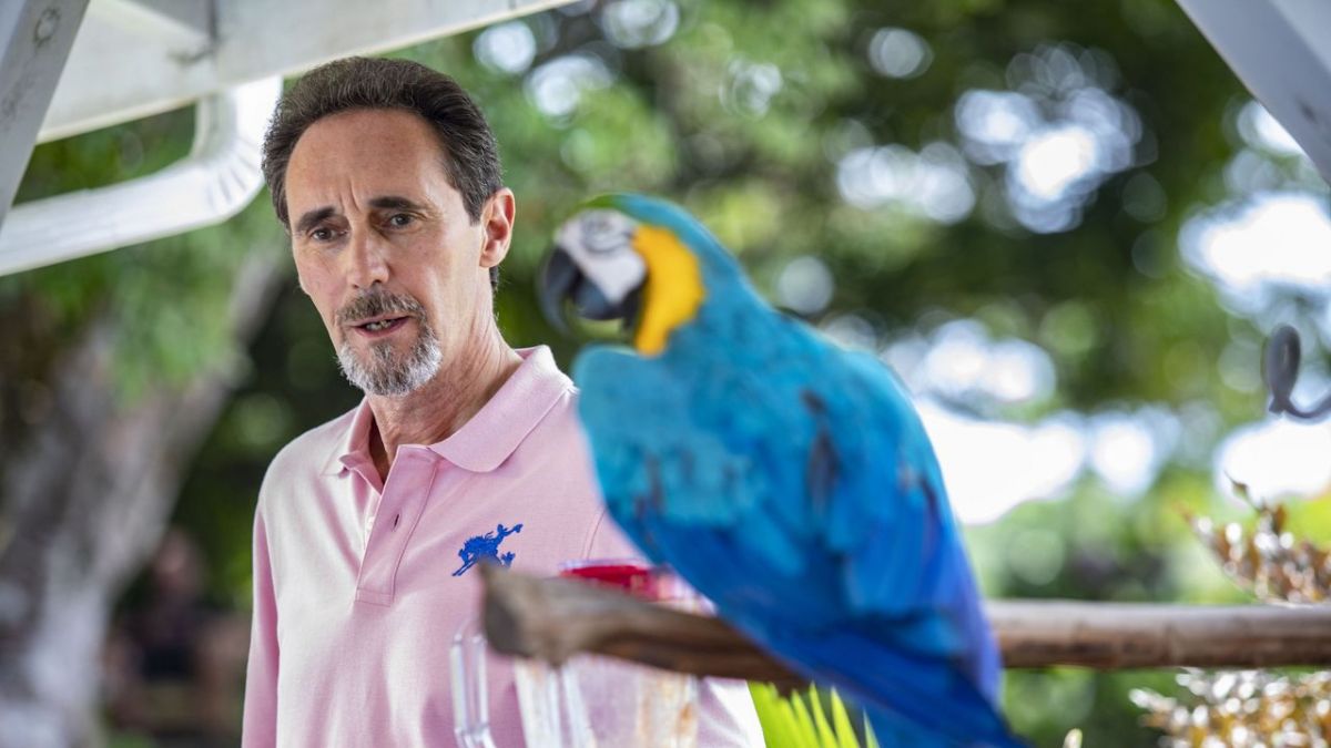 Death in Paradise bei ZDFneo (Foto)