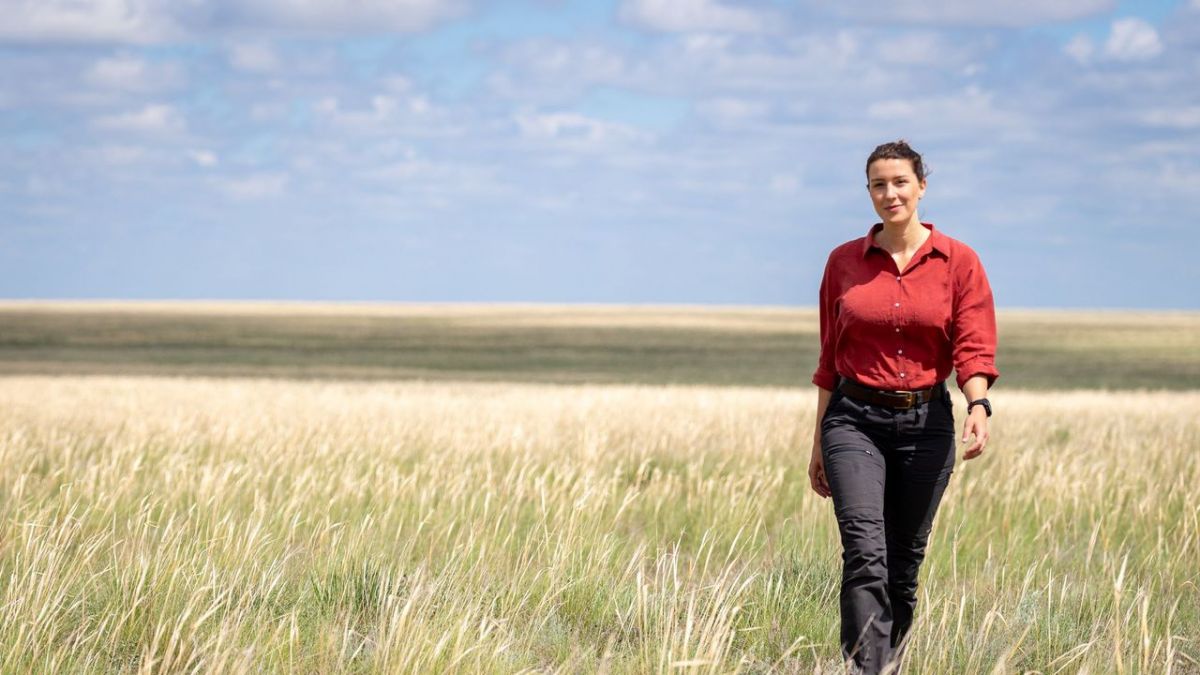 Terra X: Faszination Erde bei ZDF (Foto)