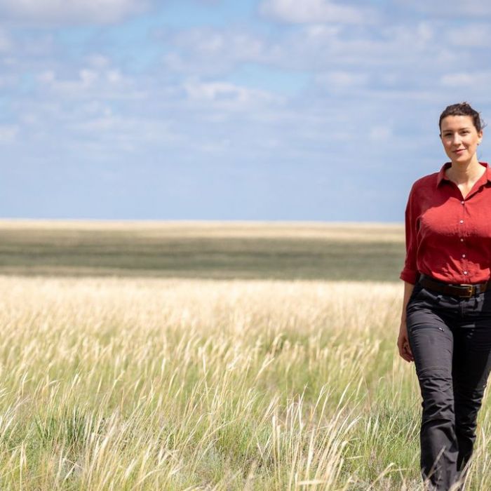 Wiederholung vom Sonntag im TV und online