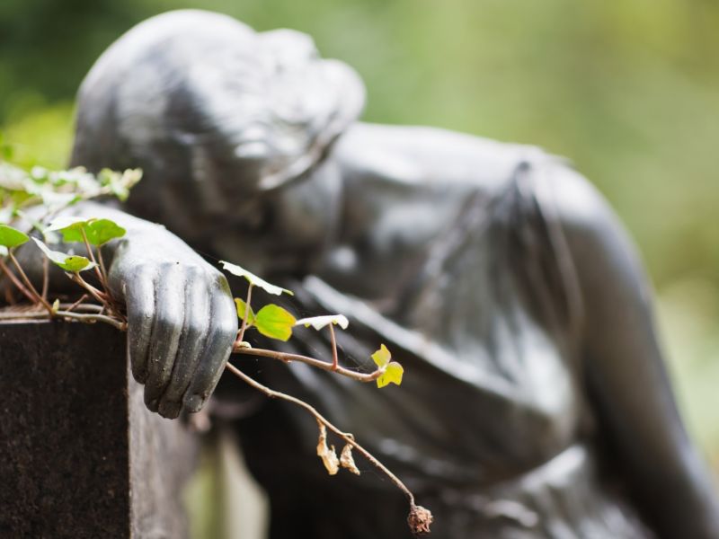 Rachael Carpani ist tot: "McLeods Töchter"-Liebling mit nur 45 Jahren unerwartet gestorben