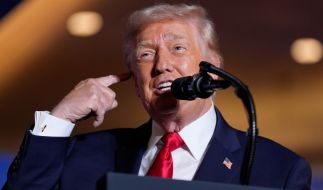 Etliche Republikaner stellen sich offen gegen Donald Trump.