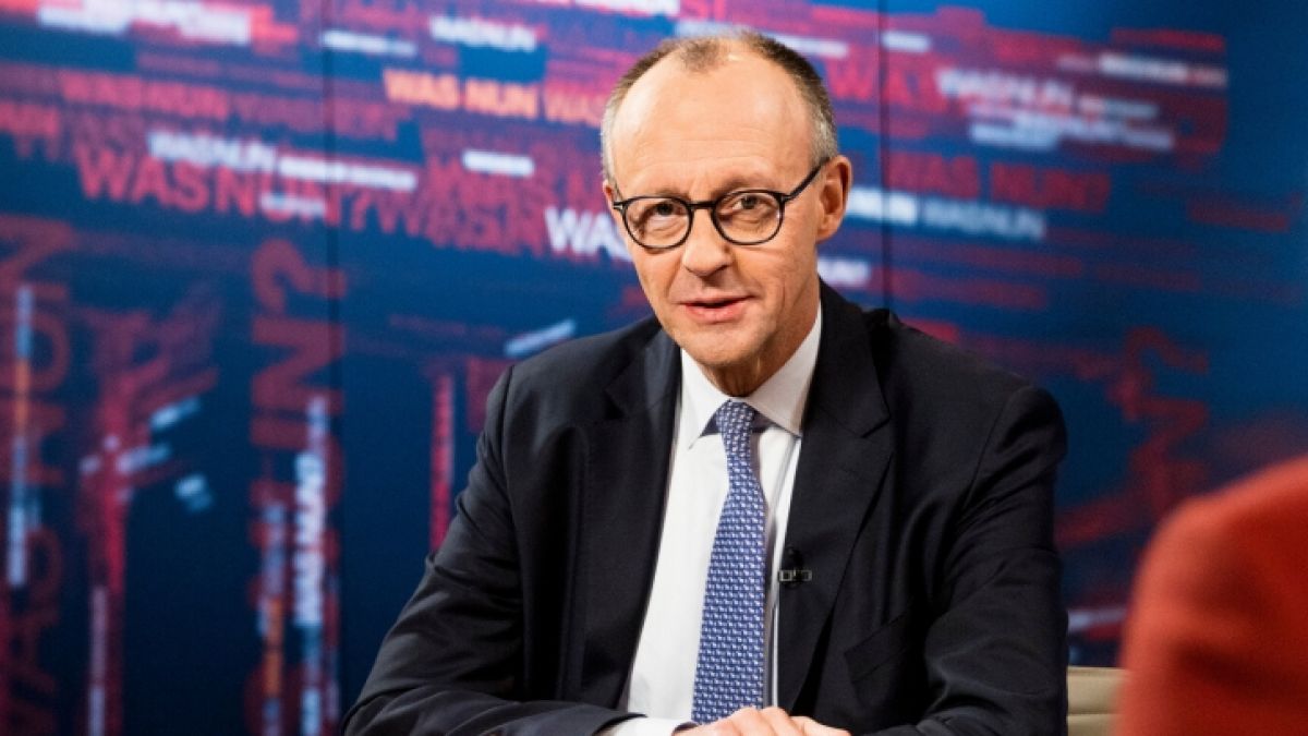 Friedrich Merz &uuml;berraschte im ZDF mit einem diskutablen Satz. (Foto)