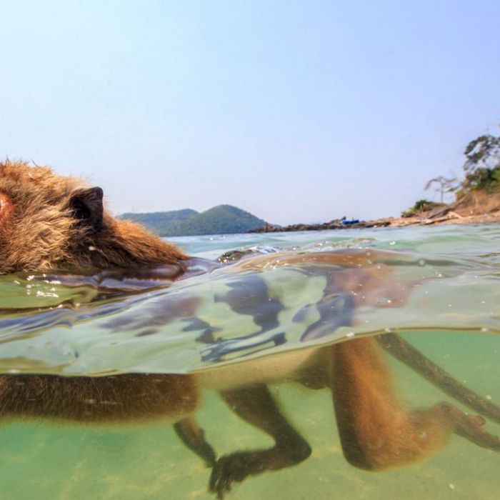Wiederholung und Mediathek zur Sendung
