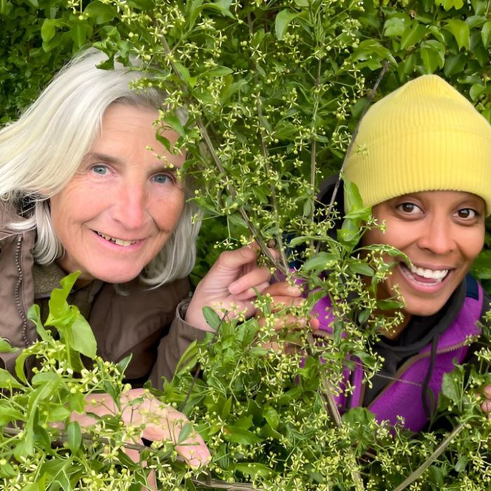 Pia und die wilde Natur bei KiKA