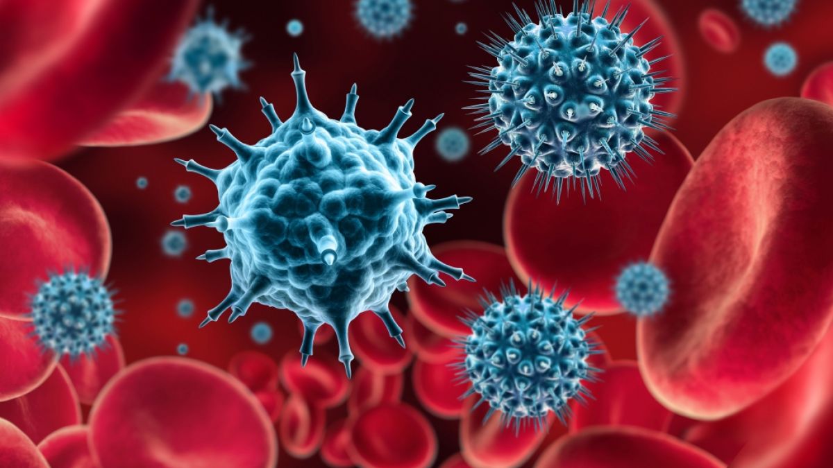 Das Immunsystem ist der Schutzschild des K&ouml;rpers gegen Erreger - doch mit dem Alter ver&auml;ndert es sich. (Foto)