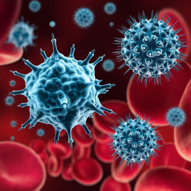 Diese fünf Faktoren lassen das Immunsystem schneller altern