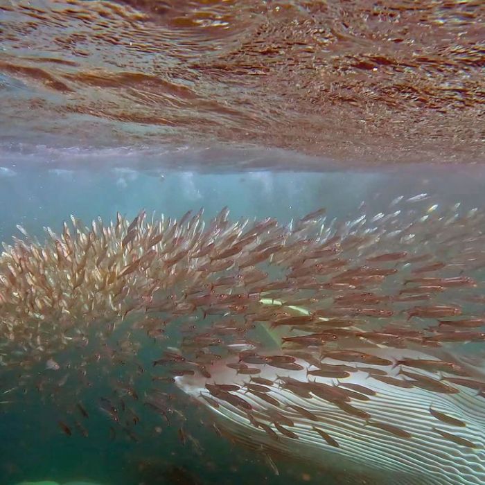 Die Dokumentation am Samstag, 20.12.2025