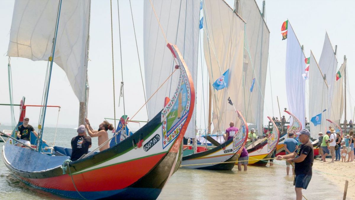 Portugal: Die Regatta der Moliceiros bei Arte (Foto)