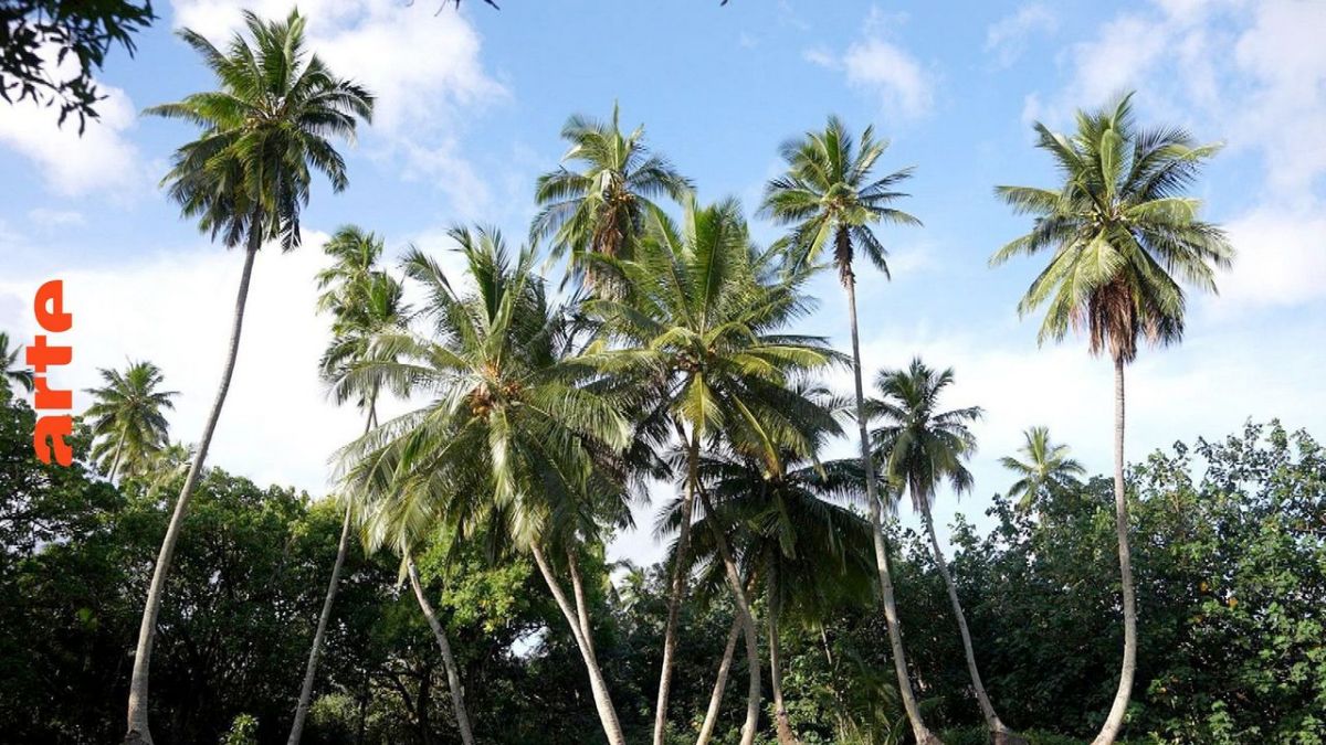 Stadt Land Kunst bei Arte (Foto)