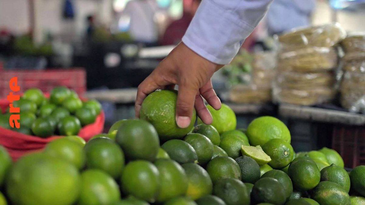 Die Welt der Zitrusfr&uuml;chte bei Arte (Foto)