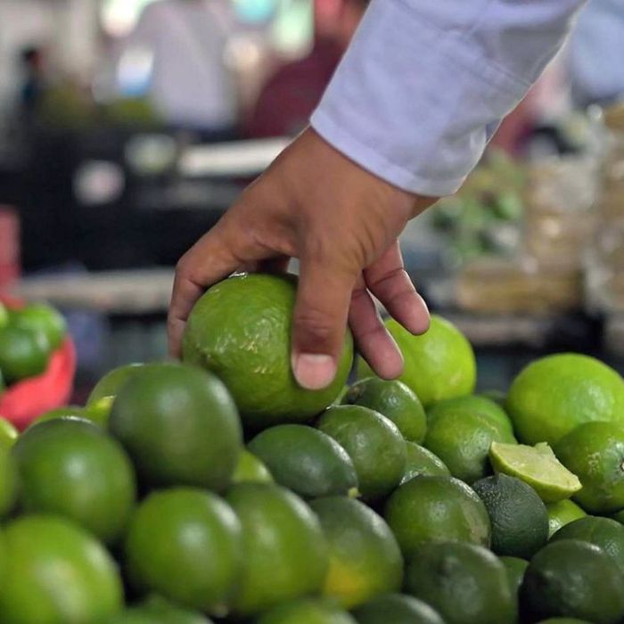 Wiederholung und Mediathek zur Sendung