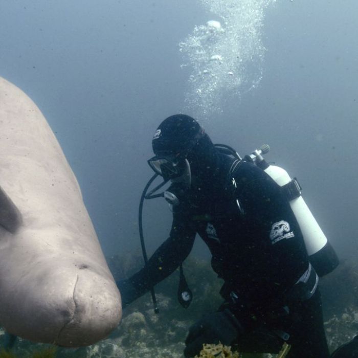TV-Wiederholung und Online-Mediathek im Überblick