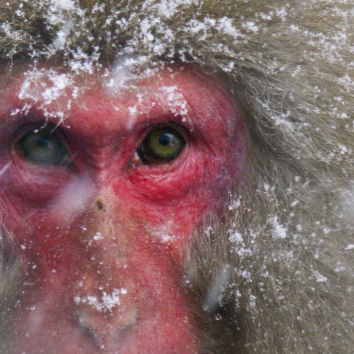 Wiederholung und Mediathek zur Sendung