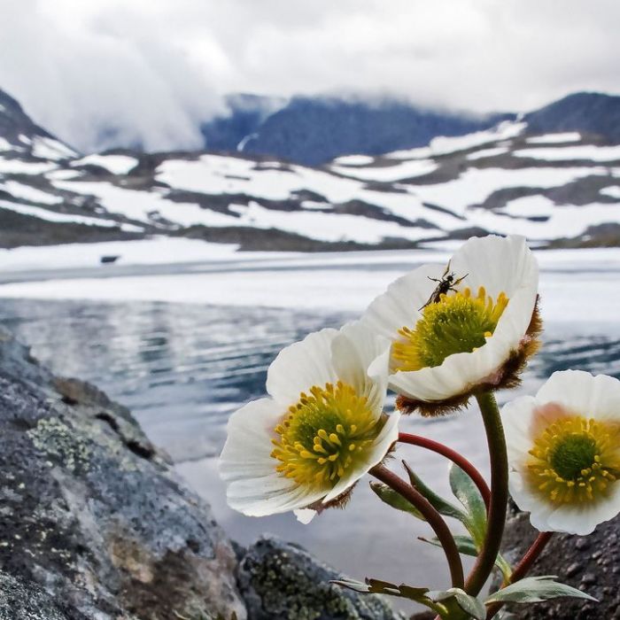 TV-Wiederholung und Online-Mediathek im Überblick