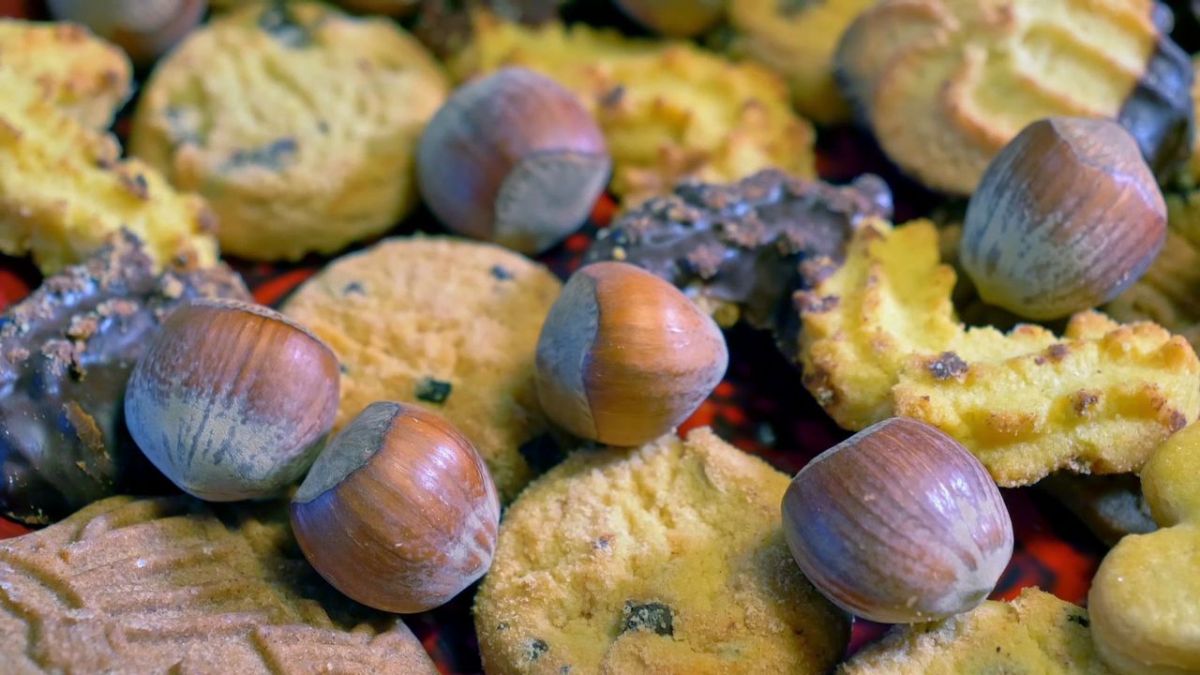 Die Sendung mit dem Elefanten bei KiKA (Foto)