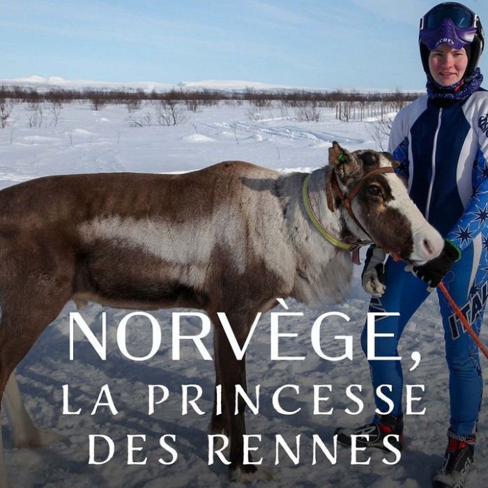 Wann und wo man die Wiederholung sehen kann