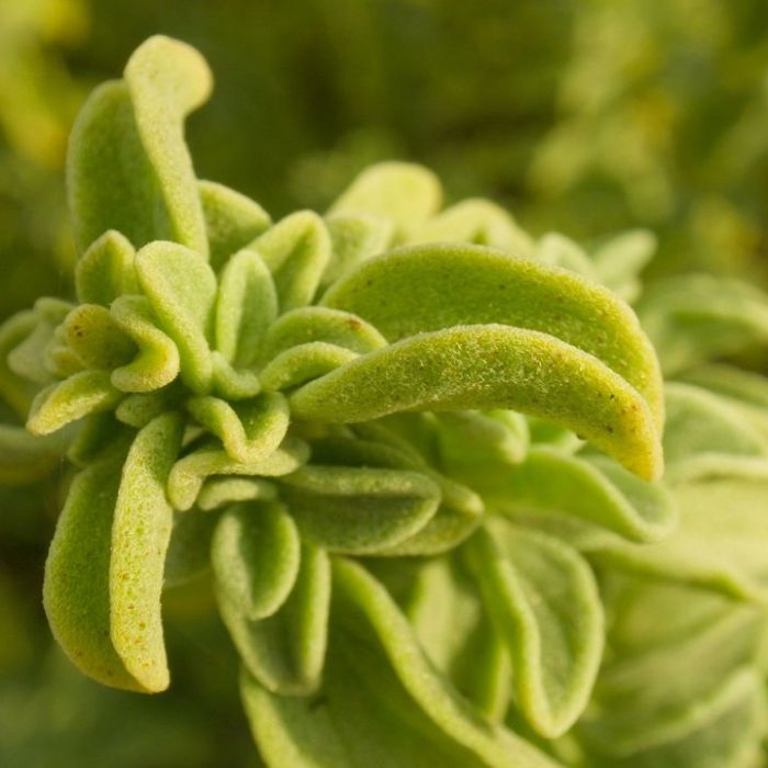 Wiederholung vom 28.12.2025 im TV und online