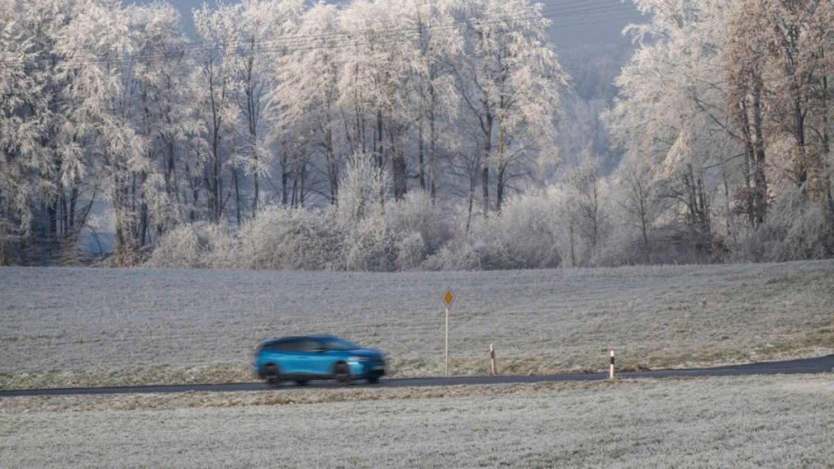Das Wetter Ende Dezember h&auml;lt einige &Uuml;berraschungen parat. (Foto)