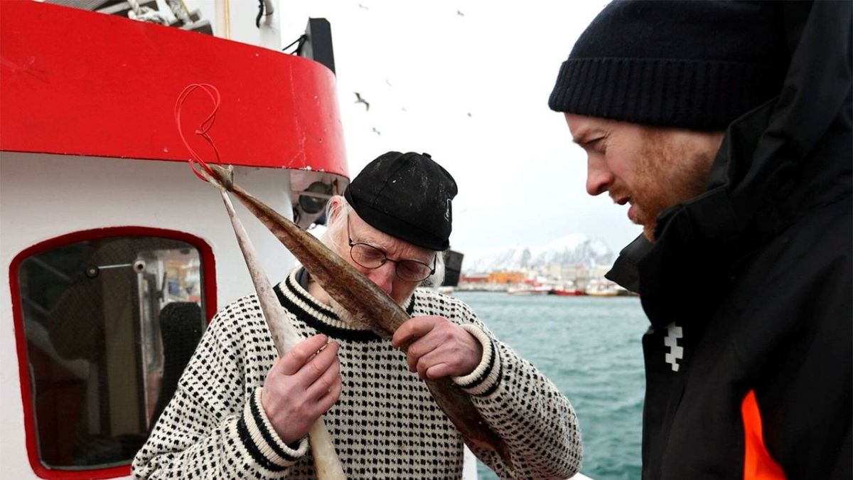 Zu Tisch bei Arte (Foto)