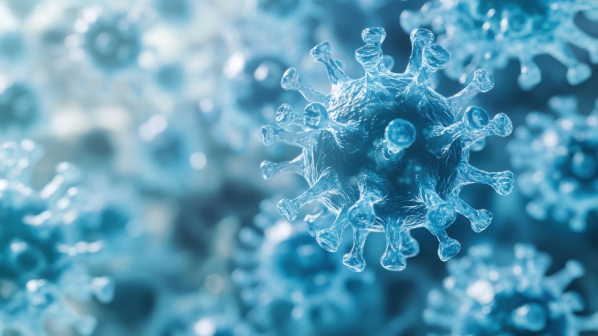 Ein neues Virus sorgt aktuell f&uuml;r eine Krankheitswelle (Foto)