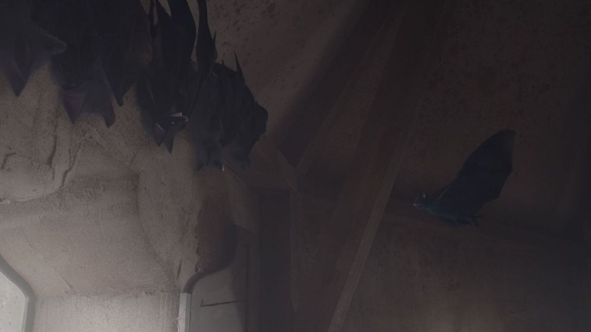 Eine lausige Hexe bei KiKA (Foto)