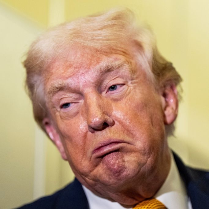 Historiker analysiert - schwacher US-Präsident 