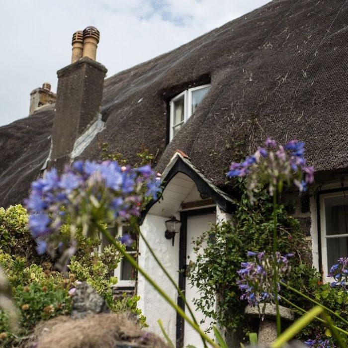 Wiederholung und Mediathek zur Sendung