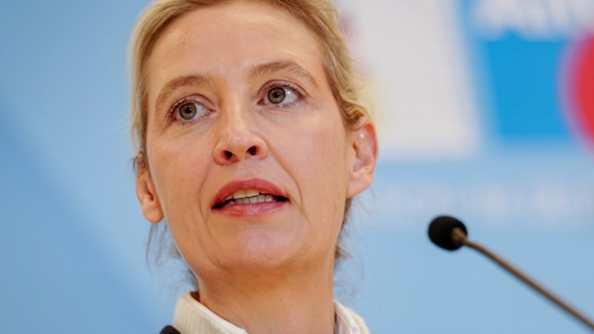 AfD-Chefin Alice Weidel st&uuml;rzt in einem neuen Politikerranking ab. (Foto)