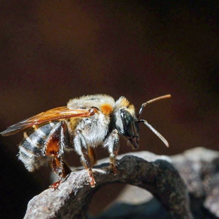 Wiederholung und Mediathek zur Sendung