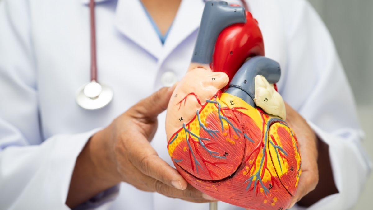 F&uuml;r ein gesundes Herz empfiehlt sich neben ausreichend Bewegung auch eine achtsame Ern&auml;hrung. (Foto)