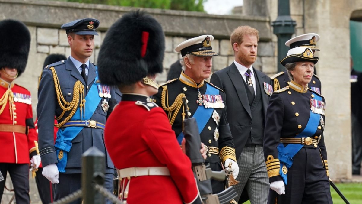 Prinz Harry: Neues Enth&uuml;llungsbuch bringt Finanzforderungen ans Licht. (Foto)