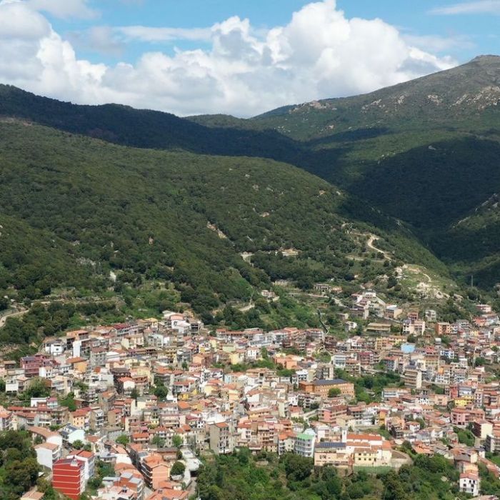 Wiederholung und Mediathek zur Sendung