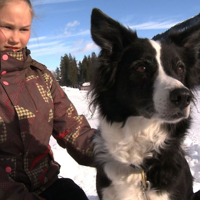 Wiederholung und Mediathek zur Sendung
