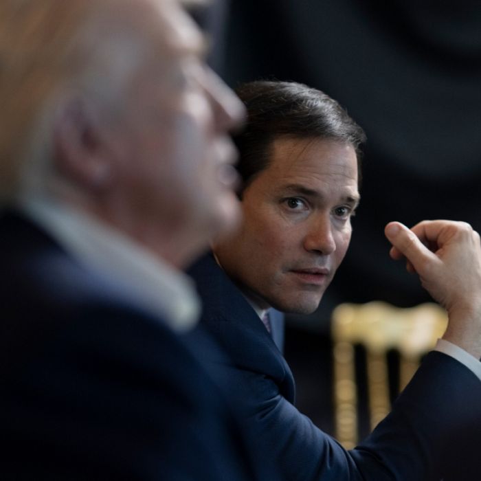 US-Außenminister als neuer Kuba-Präsident - Trump-Aussage sorgt für Spott