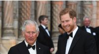 Das Archivfoto zeigt König Charles III. und Prinz Harry im Jahr 2019.