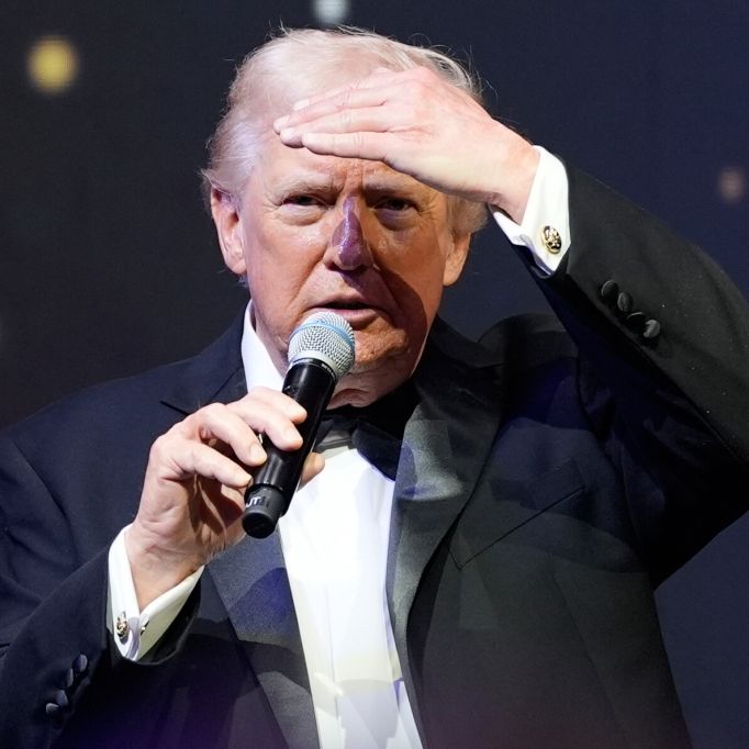 Zittern vor den Zwischenwahlen - Autor zerlegt Trump-Strategie