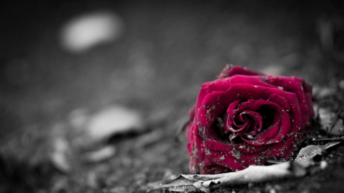 Sara Bennett verk&uuml;ndete ihren eigenen Tod. (Foto)