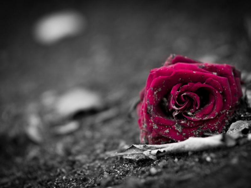 Sara Bennett ist tot: Influencerin (39) verkündet eigenen Tod im Netz