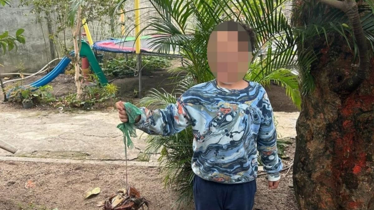 Seit dem 14. Januar 2026 fehlte von Noah R. (8) aus Frankfurt/Main jede Spur. (Foto)