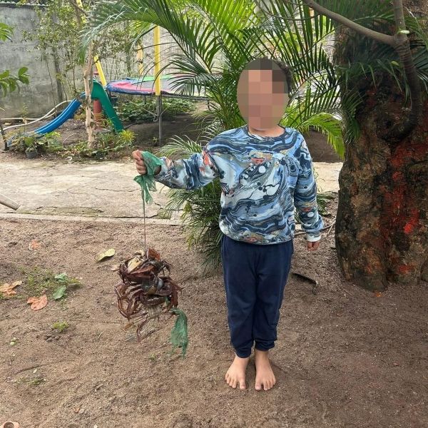 Noah (8) wohlbehalten gefunden