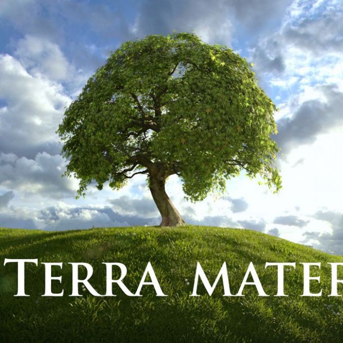 TV-Wiederholung und Online-Mediathek im Überblick